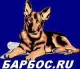 Домашние питомцы